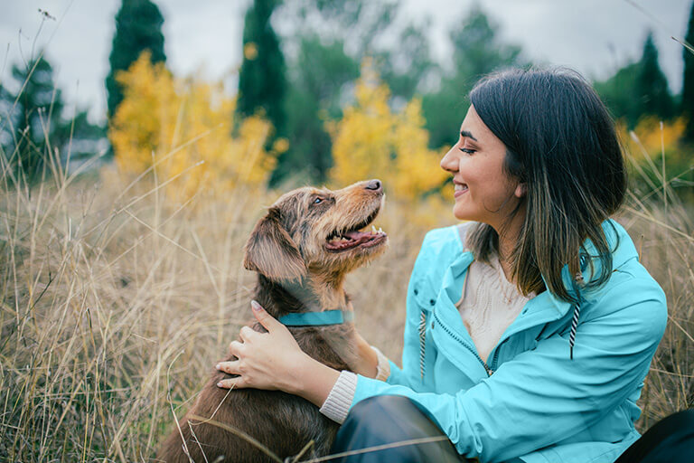 Why Sergeant’s®? Sergeant's®